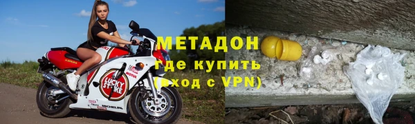 прущие грибы Ростов