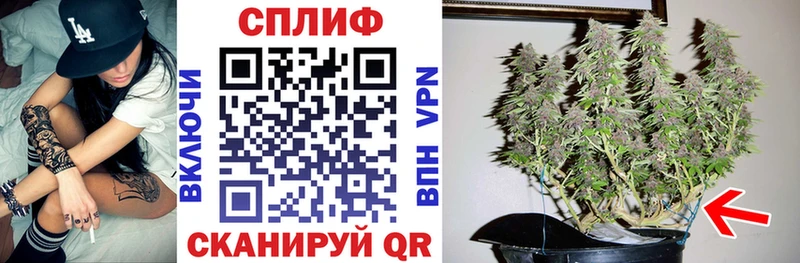 Бошки Шишки марихуана Долинск